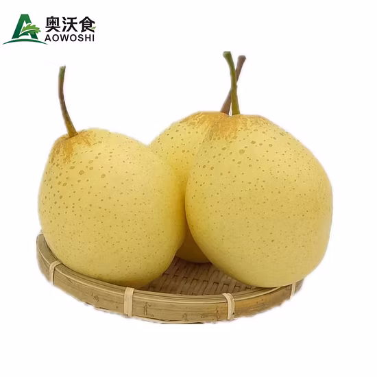 Verkauf von frischen gelben Ya-Birnen der neuen Saison 2023 in China mit Top-Qualität