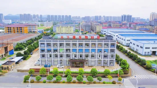 Keynovo Natural Factory Direct Knoblauchextrakt in Lebensmittelqualität